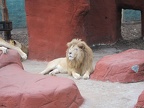 Capron Park Zoo